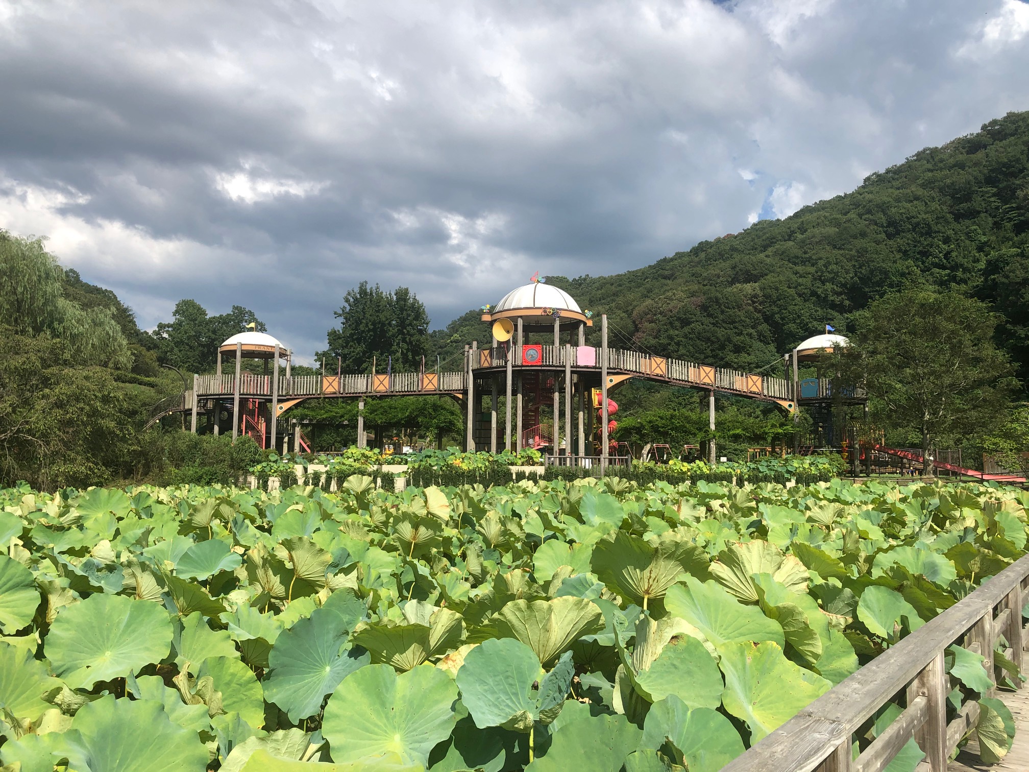 和歌山県植物公園緑化センター 岩出市 集まれ Chicks Mommy